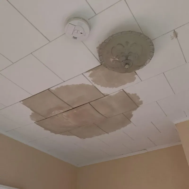 Ceiling Water Damage Repair in McConnelsville, OH