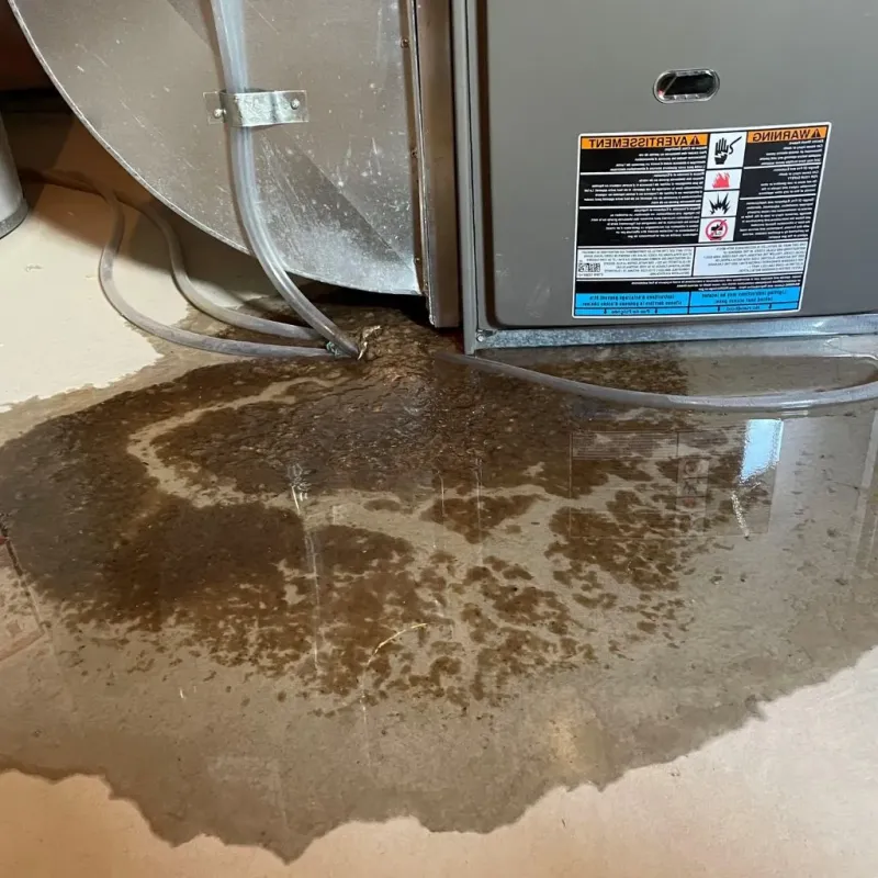 Pipe Burst and Leak Restoration in McConnelsville, OH