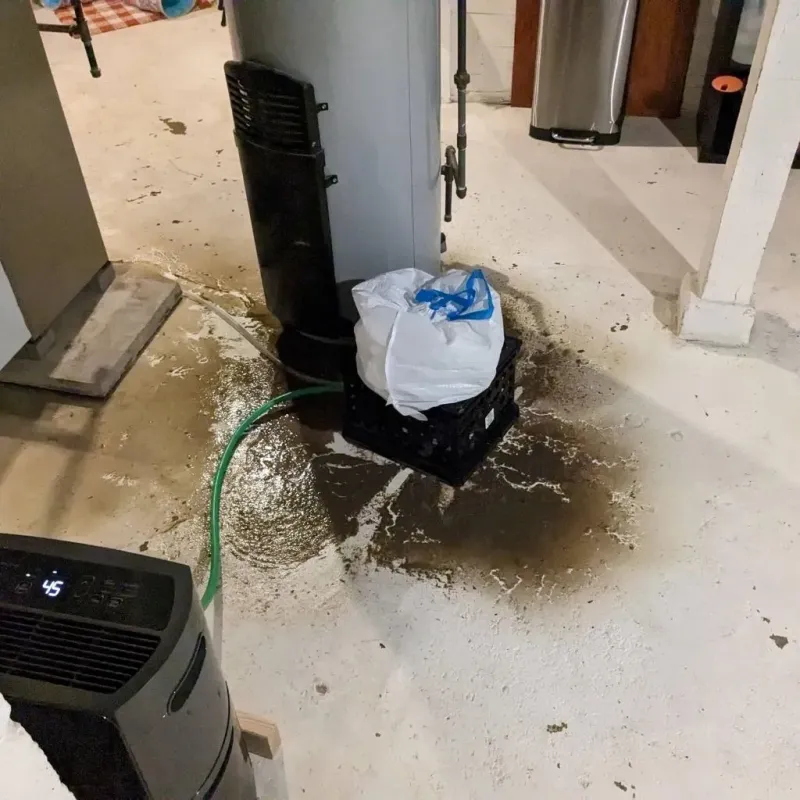 Sewage Backup Cleanup Service in McConnelsville, OH